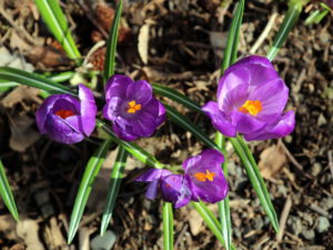 3-IMG_4829